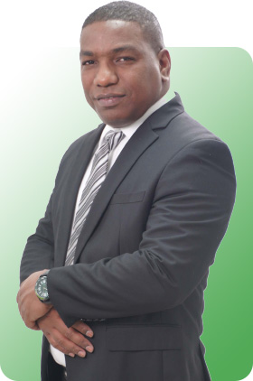 Estructura institucional