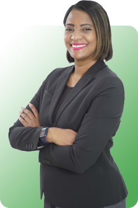 Estructura institucional