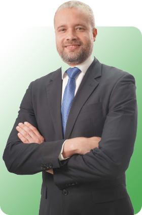 Estructura institucional