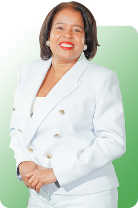 Estructura institucional